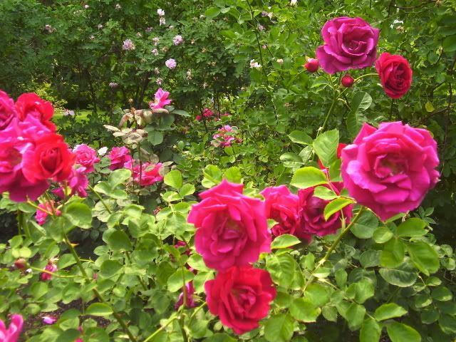 Photo Sharing and Video Hosting at Photobucket